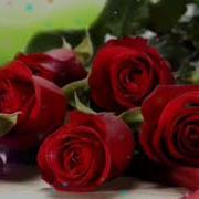 1Уьре Йита Реза Ву