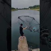 Сетка В Сатке