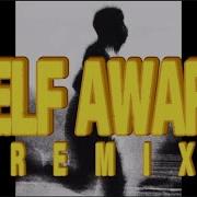 Self Aware Remix