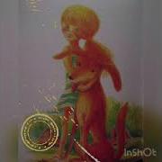 Спасибо Уинн Дикси Ди Камилло