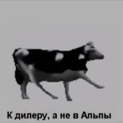 5 Грамм Коксу