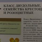 Параграф 12 Биология 7 Класс