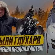 Таежные Приключения