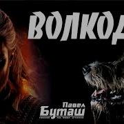 Волкодав Павелбуташ