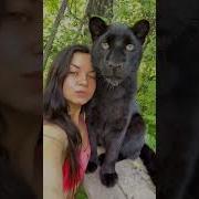 The Black Panther Felix
