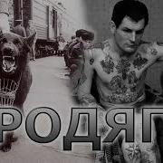 Евгений Сарачев Бродяга