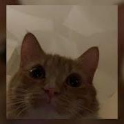 Sega Vocaloid Sped Up