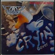 Aerosmith Cryin Cover Master Factory