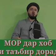 Таъбири Хоби Мор
