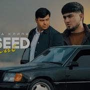 Voseed Shab