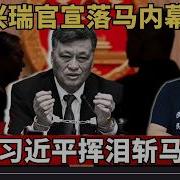 1100期老灯