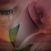 Улым Сине Котэм