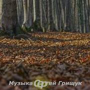 Сергей Грищук Осенняя История