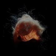 Krismi Insomnia Remix