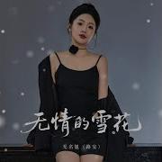 无情的雪花 袁小袁
