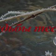 Судьбы Тески Блатняк