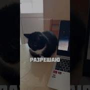 Кайфоваясережаджан