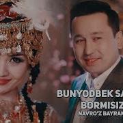 Bormisiz Bormisiz