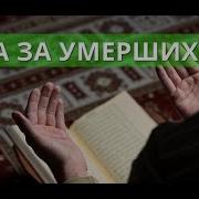 Дуа На Кладбище Слушать