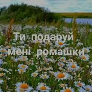 Ти Подаруй Мені Ромашки
