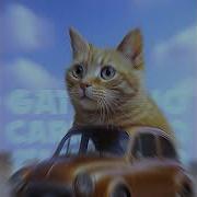 Gattatino Carranino Funk