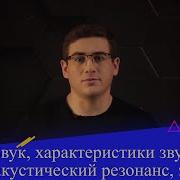 Физика 9 Класс Эхолокация