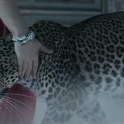 Грезы И Мечты Песня