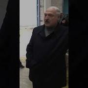 Куда Эта Скотина Делась