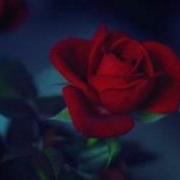 Кыргызча Ыр Эльмира