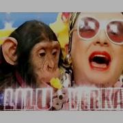 Сердючка Хорошо Красавицам