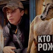 Черничный Хутор