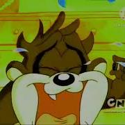 Crying Pika Major
