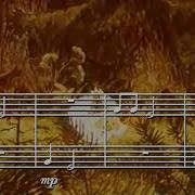 Музыкальное Эхо М Андреева