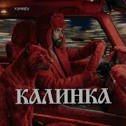 Калинка 2026