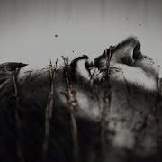 Павел Пламенев Музыка Боли