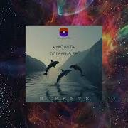 Dolphins Original Mix Amonita