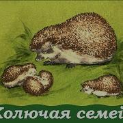Колючая Семейка