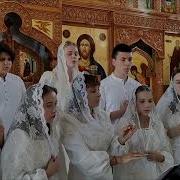 Милость Реки