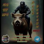 Лорд Системы Аудиокниги