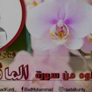 Аль Маида Мухуммад Курди