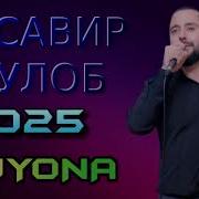 Мусавири Гулоб 2025