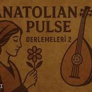 Anatolian Pulse