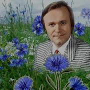 Васильковые Глаза