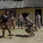 Ромашка Белая Банд Одесса