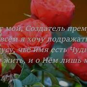 Брат Брудер