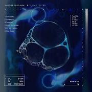 Wiz Nicc Spring Truth