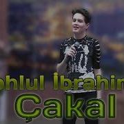 Cakal Behlul