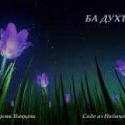 Зодруз Муборак Духтарам