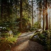 Meditation Music Nature Sounds