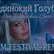 Одинокий Голубь Edm